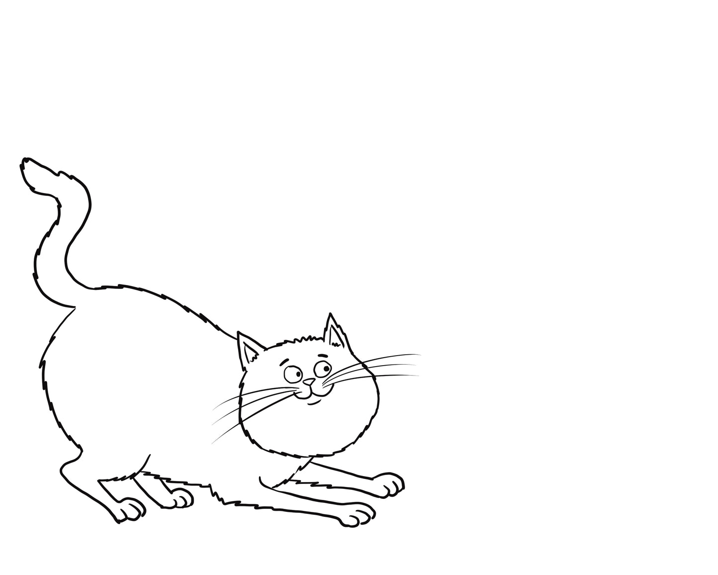 Bodega Baby: The Coloring Book